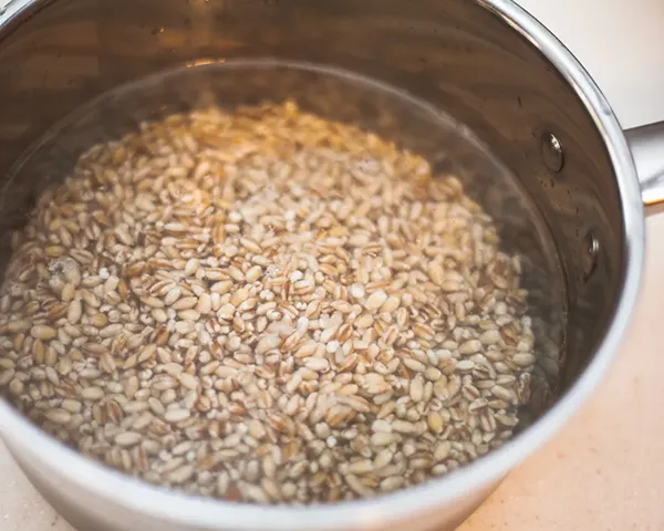 different types of barley and how to cook